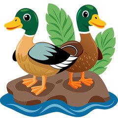 Two ducks standing on a rock in water with plants in a vector image