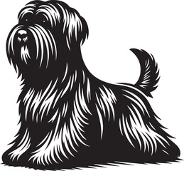 Briard Dog in Black and White – Elegant French Herding Breed Photography