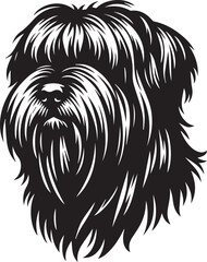 Briard Dog in Black and White – Elegant French Herding Breed Photography