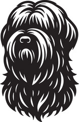 Briard Dog in Black and White – Elegant French Herding Breed Photography