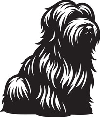 Briard Dog in Black and White – Elegant French Herding Breed Photography
