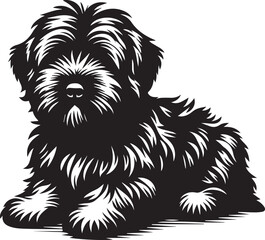 Briard Dog in Black and White – Elegant French Herding Breed Photography