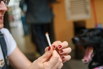 Close up on a woman's hand holding a cannabis cigarette with a dog in the background