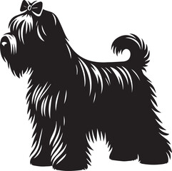 Briard Dog in Black and White – Elegant French Herding Breed Photography