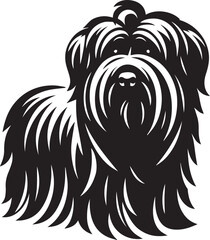 Briard Dog in Black and White – Elegant French Herding Breed Photography