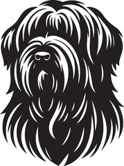 Briard Dog in Black and White – Elegant French Herding Breed Photography