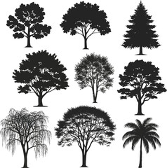 Obraz premium Isolated a kinds of deferent tree silhouette vector art with white background.