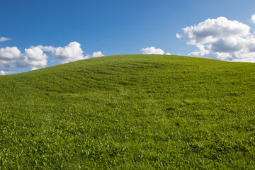 Obraz premium colline verdoyante, prairie verte , campagne, rural