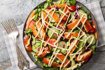 buffalo chicken salad with romaine, smattering of fresh vegetables and an irresistible buttermilk blue cheese dressing closeup on the plate on the table. Horizontal top view from above
