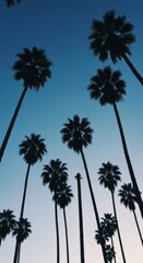 Obraz premium Palm Trees Against Blue Sky