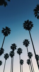 Fototapeta premium Palm Trees Against Blue Sky