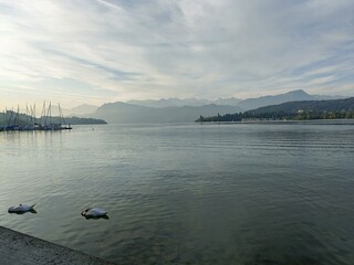 lake lucerne, sleepy morning atmosphere