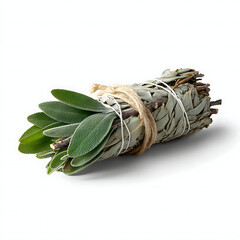 Bundle of Dried Sage Leaves Tied with Twine on White