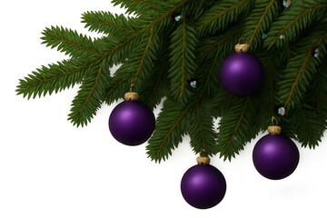 Christmas fir tree branch with purple matte ornaments, creating a festive holiday decoration, transparent background