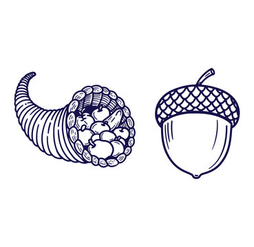 acorns clipart black and white
