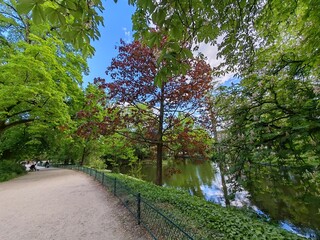 Park pathway with colorful trees and calm river