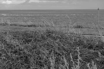 Die Insel Vlieland im Sommer
