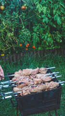Shashlik on skewers is being cooked on charcoal in a barbecue close-up.