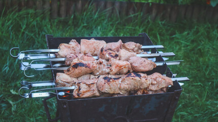 Shashlik on skewers is being cooked on charcoal in a barbecue close-up.