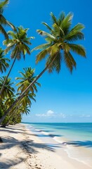 A picturesque tropical beach scene, featuring swaying palm trees casting shadows on the pristine white sand, meets the clear turquoise water under a vibrant blue sky.