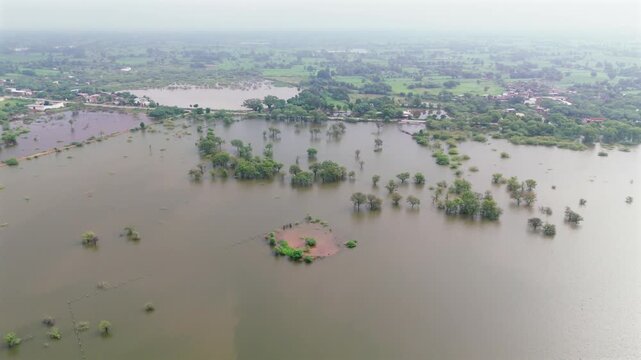 Aerial view of a village in Bhilwara, Rajasthan during monsoon morning, showing a pond with an ancient peepal-fig tree, roads with moving vehicles, another pond, fields with babool trees, and water