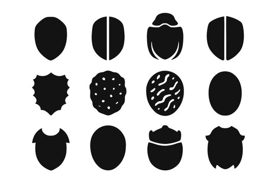 Carapace hard split beetle flattened shell icons icon back shield vector oval