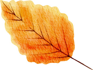 Beautiful Autumn Leaf Watercolor Illustration