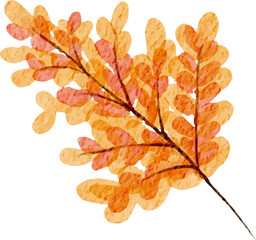 Beautiful Autumn Leaf Watercolor Illustration