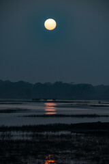 Silhouette of Deer in Wetlands During Sunset with Reflection on Water