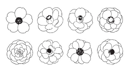 Obraz premium Delicate hand-drawn floral elements collection botanical sketch flowers for design and artistry silhouette