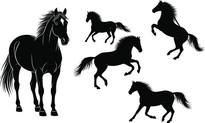 Horse silhouette vector set, galloping horse, rearing stallion, running pony, black animal shapes, equine motion, wild horse poses, stock illustration