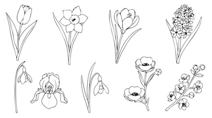 Collection of delicate hand-drawn floral bouquets and sprigs in a sketchy style silhouette