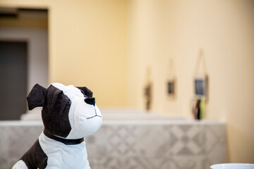 Stuffed dog toy displayed in a veterinary clinic reception area
