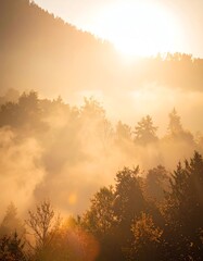 Fototapeta premium Sunrise Mist over Autumnal Forest