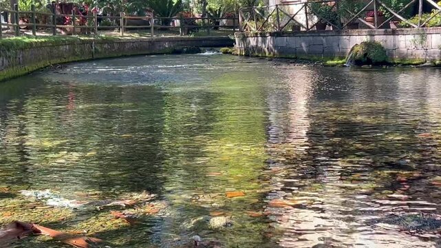 Green dominates in the Grassano Park in Campania