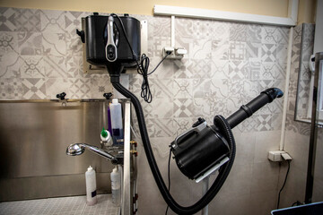Detailed view of a dog grooming wash area equipped with high-velocity dryer, faucet, and shampoo bottles, highlighting veterinary hygiene equipment