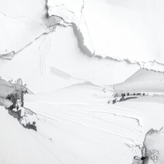 Abstract Gray and White Texture with Torn Paper Effect