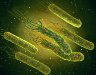 Medical background, dangerous to health and life pathogenic bacteria Vibrio cholerae, the causative agent of cholera disease, 3D rendering