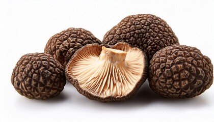 Truffle Mushroom Isolated On Transparent Background