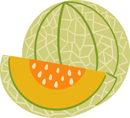 cantaloupe melon fruit vector cartoon illustration 