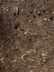 soil in the ground