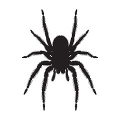 The spider features eight legs