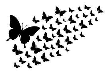 A butterfly is flying over a group of butterflies. The butterflies are all black and are scattered in different directions. Vector silhouette.