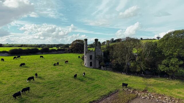 Ballyannan Castle from above during the summer. Mildeton, Cork, Ireland