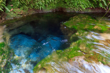 鹿児島県　出水の湧き水