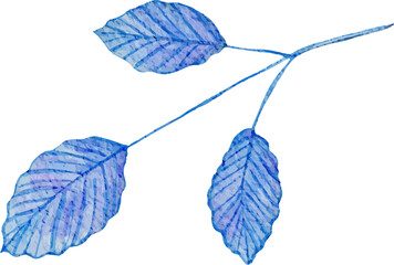 watercolor winter leaf illustration