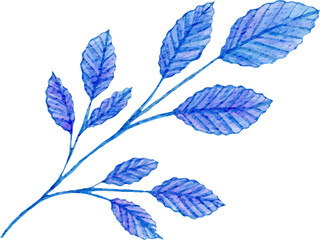 watercolor winter leaf illustration