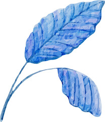 watercolor winter leaf illustration