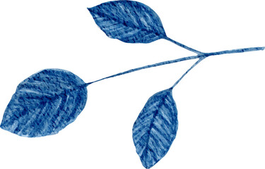 watercolor winter leaf illustration