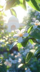 Sunlight shines through leaves as white flowers bloom in a tranquil garden